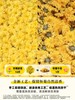 可以吃的怀菊花  色泽鲜黄，自然清香  怀府街 商品缩略图2