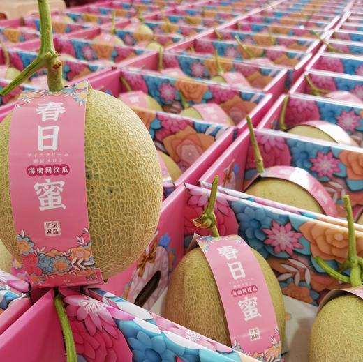 【预售·包邮】三亚春日蜜·网纹瓜 商品图0