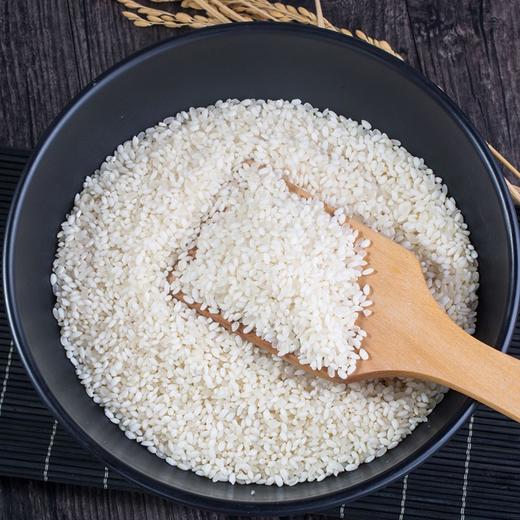  稻宝昌慢生长新东北大米雪花米现磨10斤大米真空装 商品图5