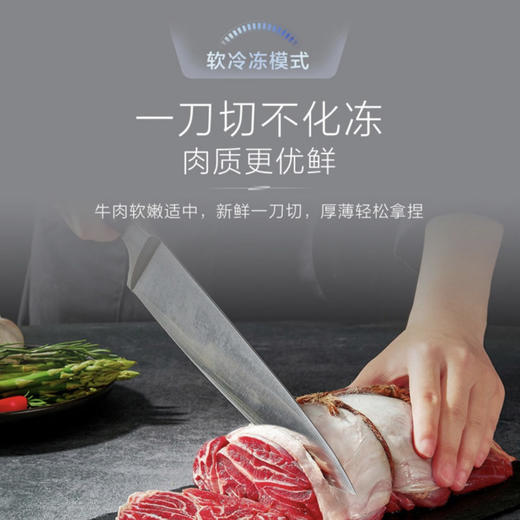 海尔（Haier）冰箱 BCD-602WGHSSR5SGU1 商品图2