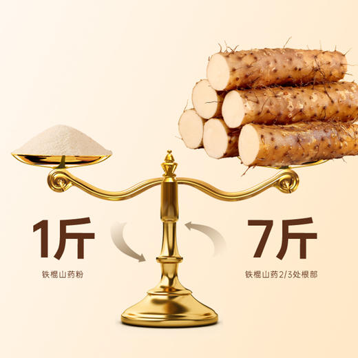福东海 铁棍山药粉500克 早晚餐冲饮即食淮山粉 商品图1