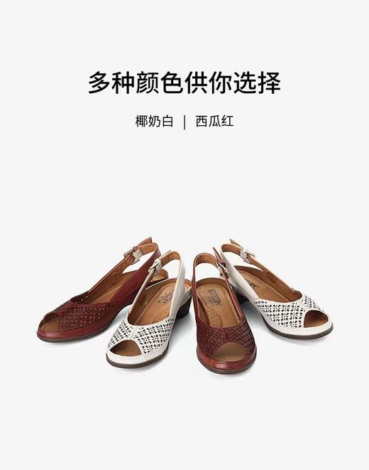 【皮具】PIKOLINOS女鞋pm226301 商品图1