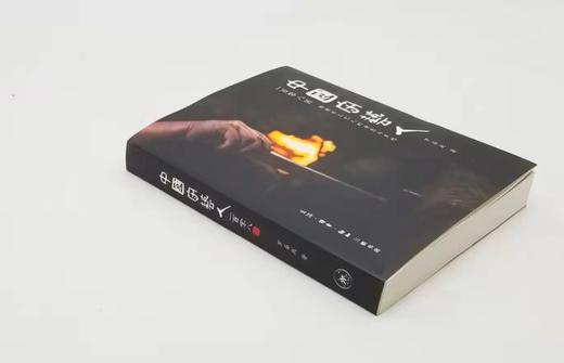 《中国守艺人：一百零八匠》，16开，罗易成著，三联书店2018年版，393页，定价88，售价40元包邮。 商品图1