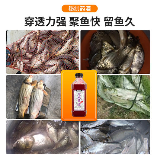 佳钓尼绝密泡米酒小药钓鱼用黑坑竞技野钓垂钓鲤鲫鱼鱼饵料诱鱼剂 商品图1
