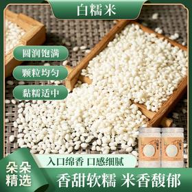 【姚朵朵】白糯米（圆）630g*2罐 / 630g*4罐