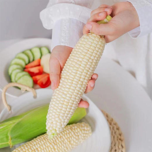 四川攀枝花牛奶玉米 净重5-8斤装 高山露天生长 生态种植 甜糯可口 生熟两吃 商品图4