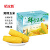  稻宝昌 东北鲜制黄糯玉米棒非转基因真空包邮 10穗2600g 商品缩略图1
