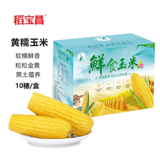 稻宝昌 东北鲜制黄糯玉米棒非转基因真空包邮 10穗2600g 商品图1