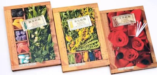 植物文化丛书三种：《染色植物》《糖果植物》《芳香植物》，精装，16开，法 塞尔日.沙著，三联书店2019年版，定价204，售价80元，品相9成。 商品图2