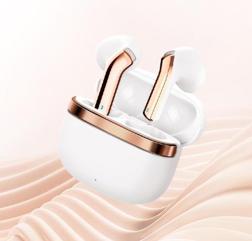 【团购展示】RECCI巴赫TWS蓝牙耳机REP-W43 商品图0