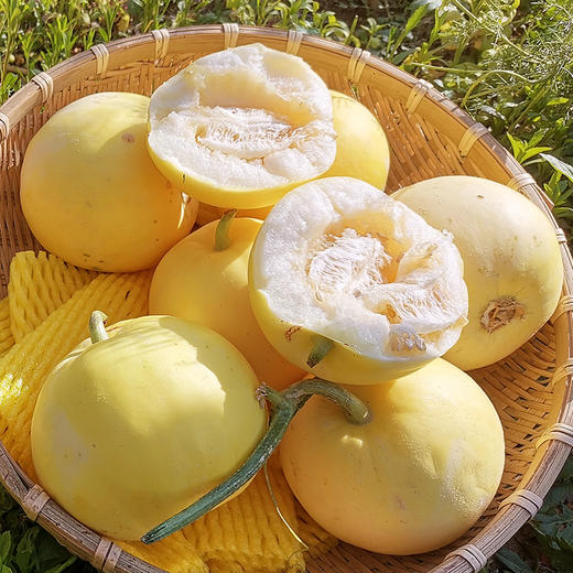 『沂蒙山蜜罐甜瓜』脆甜流蜜，瓜香浓郁，酥嫩可口，能直接带皮啃 商品图6