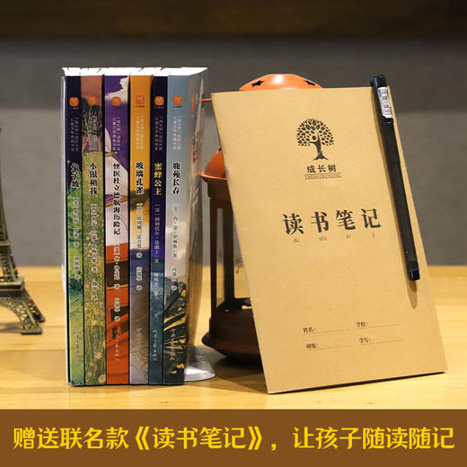 《“成长树”国际大奖儿童文学典藏书系》（全6册） 商品图6