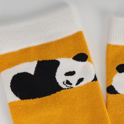 BBC EARTH萌趣卡通熊猫情侣男女潮流款棉袜短袜 商品图4