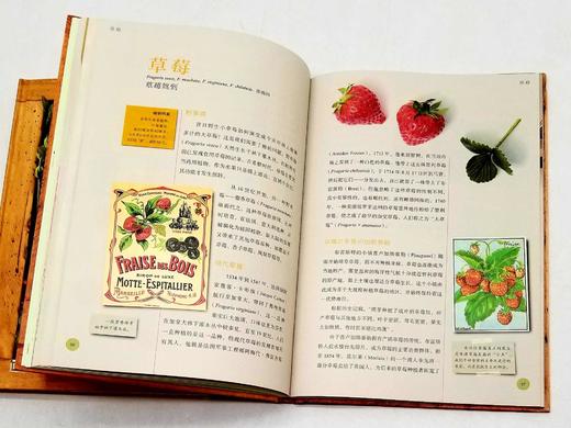 植物文化丛书三种：《染色植物》《糖果植物》《芳香植物》，精装，16开，法 塞尔日.沙著，三联书店2019年版，定价204，售价80元，品相9成。 商品图9