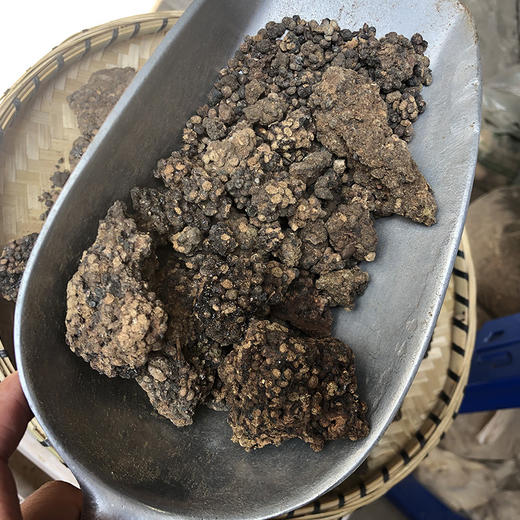 五灵脂 常用规格 敲成小块 方便配药 商品图4