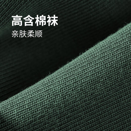 都市丽人都市锋尚简约系列高含棉袜子中厚男士隐形袜FC3DB3 商品图3