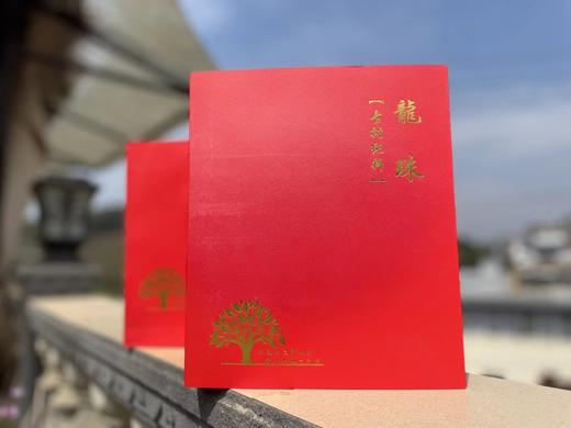 【挖茶】一口香龙珠 顶级生茶龙珠 商品图1