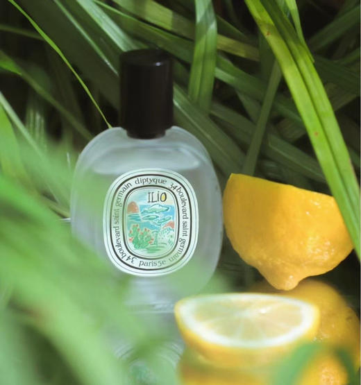 蒂普提克夏日之光发香喷雾30ml 商品图1