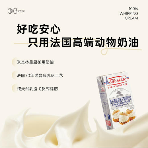 （此款仅限深圳配送）比利时黑巧 冰淇淋蛋糕，可选1.5/2.5磅 商品图4