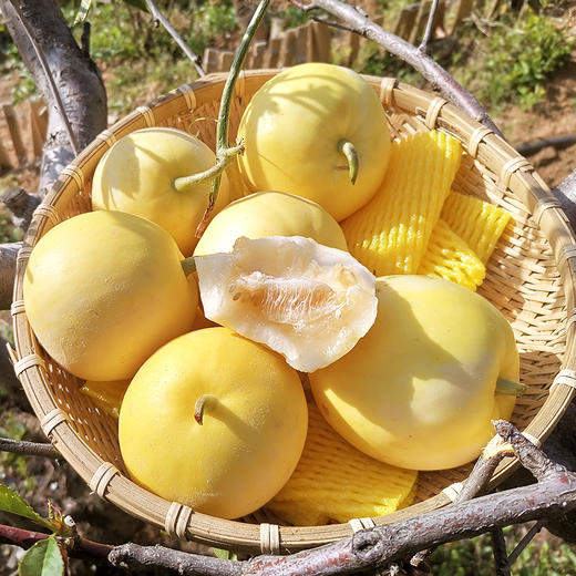 『沂蒙山蜜罐甜瓜』脆甜流蜜，瓜香浓郁，酥嫩可口，能直接带皮啃 商品图2