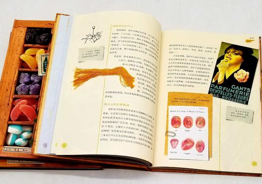 植物文化丛书三种：《染色植物》《糖果植物》《芳香植物》，精装，16开，法 塞尔日.沙著，三联书店2019年版，定价204，售价80元，品相9成。 商品图4