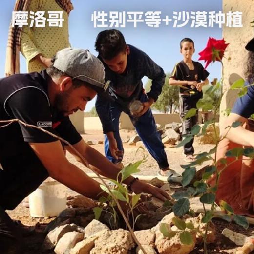 摩洛哥·性别平等、沙漠种植 商品图0