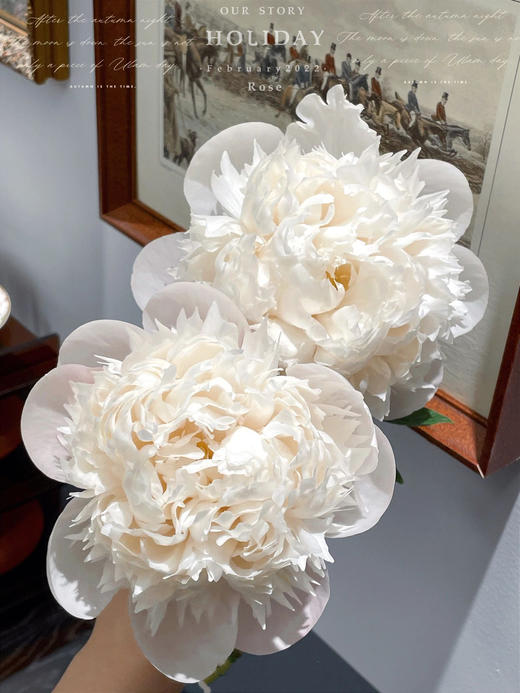 【预售！4.20起陆续发出】欧文斯上校【有的人温柔得连指尖都是粉色，比如说你】简小姐精选进口芍药 欧文斯上校 2件包邮 顺丰空运直发 商品图9