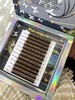 【秒杀价】焦糖YY0.05C 商品缩略图1
