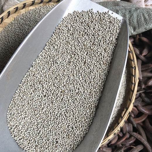 苏子  紫苏子  白苏子 商品图6