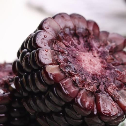  稻宝昌 东北鲜制黑糯玉米棒非转基因真空包邮 10穗2200g 商品图3