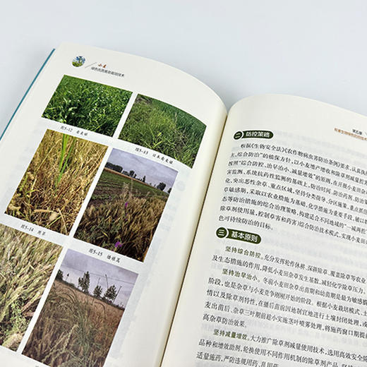 小麦绿色优质高效栽培技术  商品图3