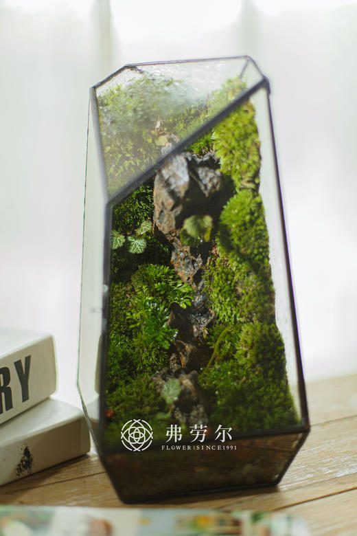 几何生态框 商品图0