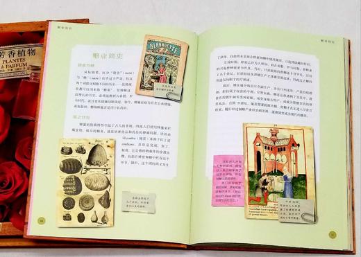 植物文化丛书三种：《染色植物》《糖果植物》《芳香植物》，精装，16开，法 塞尔日.沙著，三联书店2019年版，定价204，售价80元，品相9成。 商品图7
