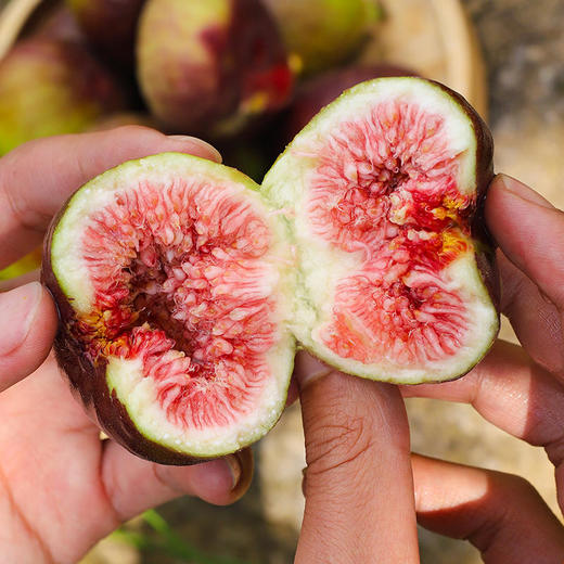 云南波姬红新鲜无花果  号称女神果  孕妇最佳水果   清甜口感   发货7成熟 收货后先挑颜色深和软的先吃   包邮发出 商品图5
