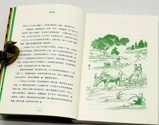 签名钤印本，中国乡存丛书五种：《故园农事》《节庆里的故乡》《一个村庄的食单》《老家什》《生产队》，黄孝纪、何永洲著，广西人民出版社2020-2022年版。 商品图5