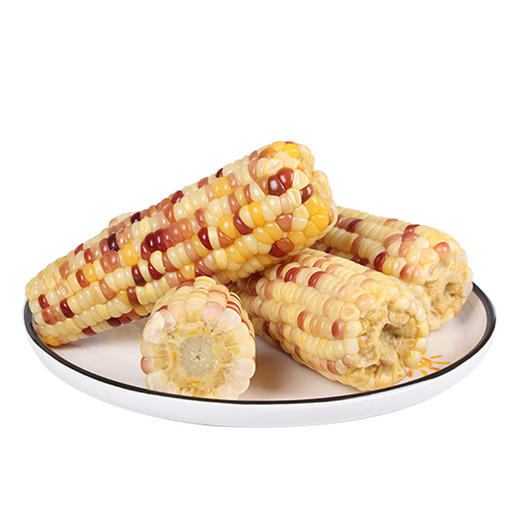  稻宝昌 东北鲜制花糯玉米棒非转基因真空包邮 10穗2200g 商品图2