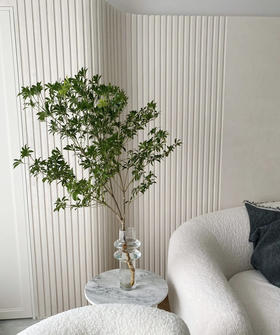 【大枝】进口马醉木 约1.5米 型态如图 单枝（快递可运费到付）