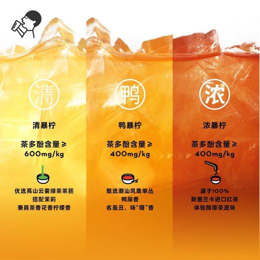 喜茶浓暴柠柠檬粤红果茶饮料450ml 商品图4