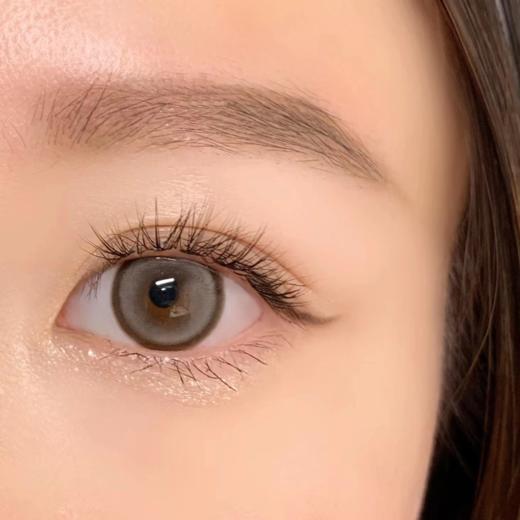 正品半年抛 | Papadox系列白兰地美瞳 | 直径14.5着色直径13.9 | 韩国产 商品图4