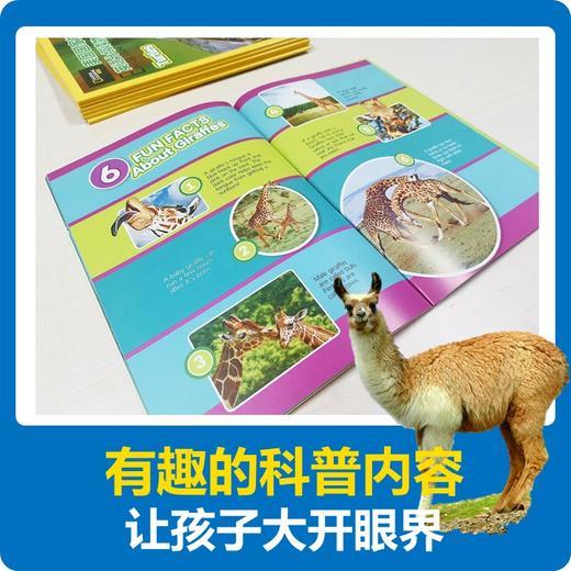 【3-15岁必读】美国国家地理英语分级读物第1级，第2级，第3级，第4级，扫码听音频，支持点读 商品图2