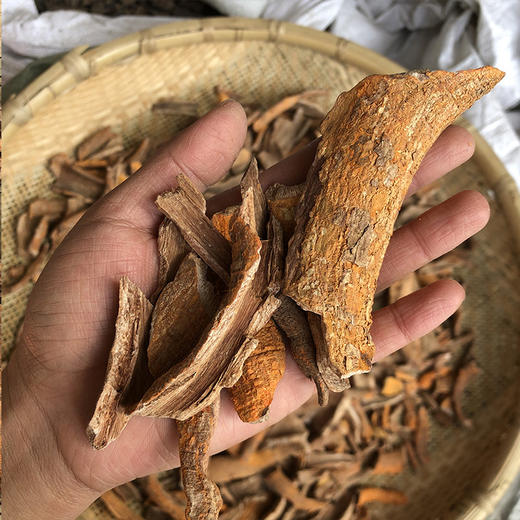 紫荆皮 云南紫金皮 商品图2