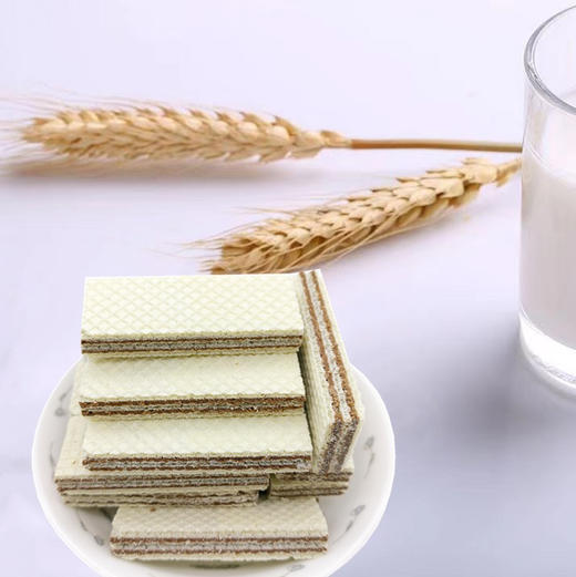 爱利地威化饼榛子味180g 商品图1