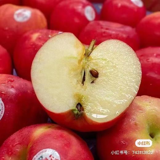周四取货：【新西兰小花苹果】一份6个（1.8斤左右）脆甜可口，果质紧实，浓浓香甜 ​！ 商品图4