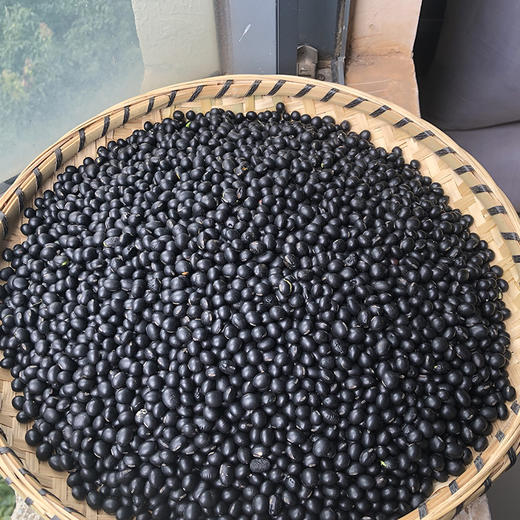 黑豆 商品图1