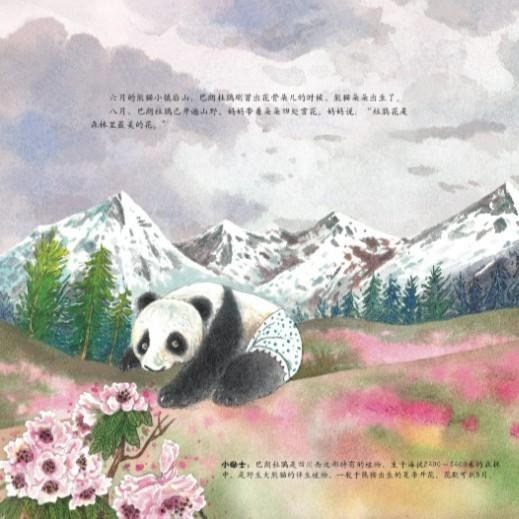 来自森林的熊猫朵朵+走向森林的熊猫响响2本套【中国大熊猫保护研究中心 组编】 商品图3