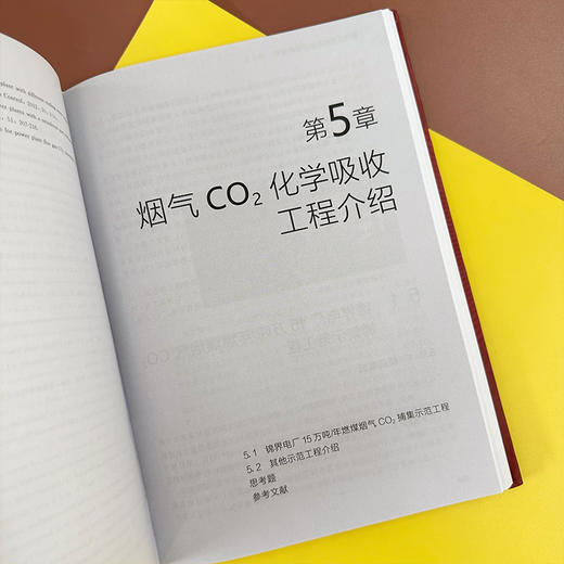 烟气二氧化碳化学吸收技术 商品图7