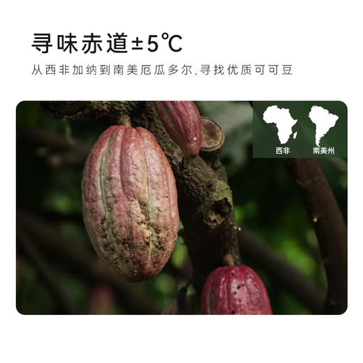 OH My Food 天然低脂可可粉 128g 商品图3