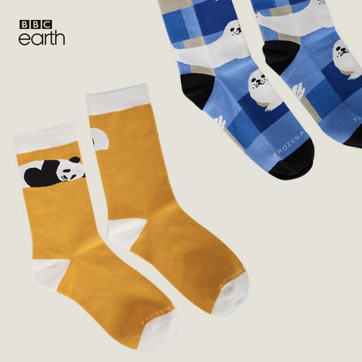 BBC EARTH萌趣卡通熊猫情侣男女潮流款棉袜短袜 商品图0