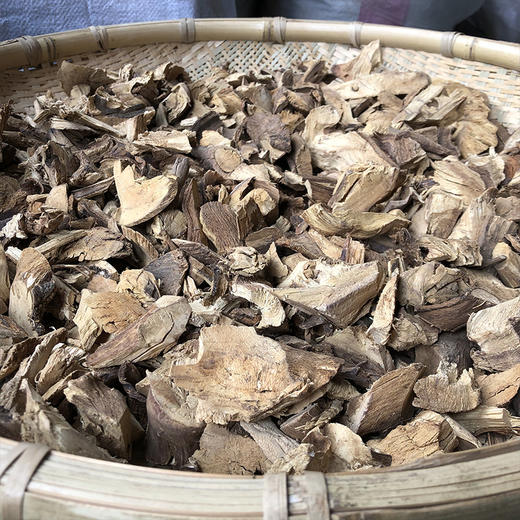 钻地风 云南地方草药 钻地枫 商品图1