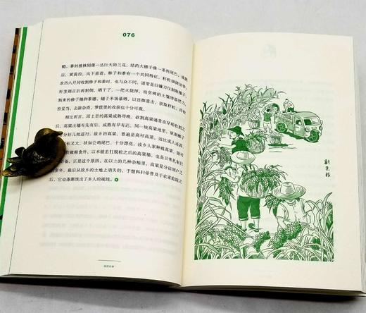 签名钤印本，中国乡存丛书五种：《故园农事》《节庆里的故乡》《一个村庄的食单》《老家什》《生产队》，黄孝纪、何永洲著，广西人民出版社2020-2022年版。 商品图14